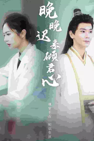晚晚迟来倾君心
