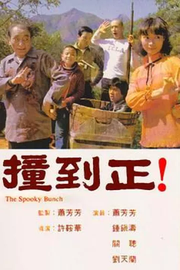 撞到正