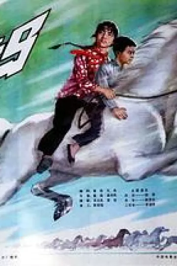 白龙马