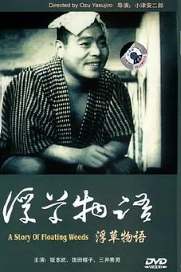 浮草物语