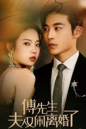 傅先生夫人又闹离婚了