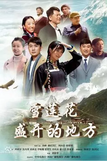 雪莲花盛开的地方