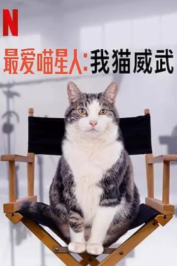 最爱喵星人：我猫威武
