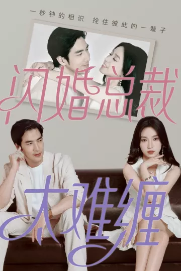 闪婚总裁太难缠