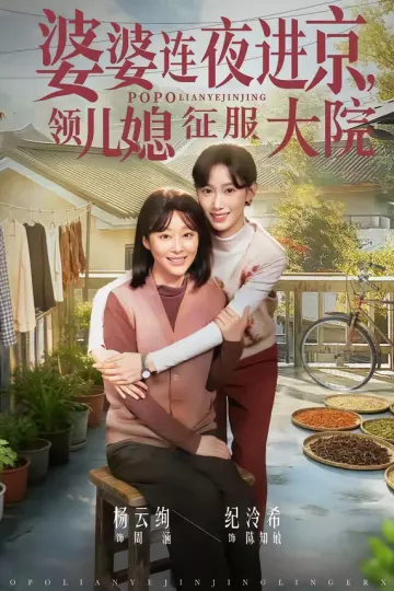 婆婆连夜进京，领儿媳征服大院