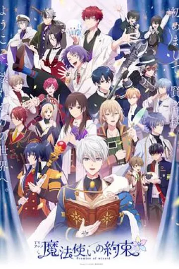 魔法使的约定