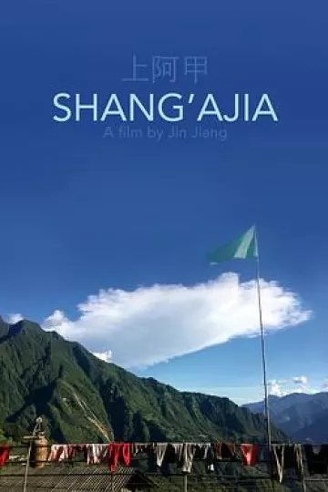 上阿甲