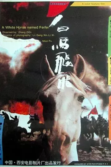 白马飞飞[电影解说]