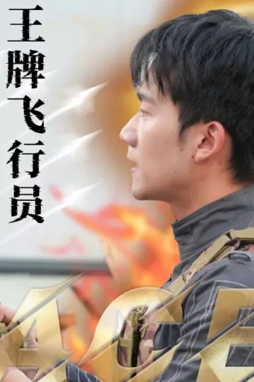 王牌飞行员