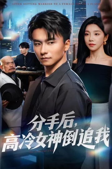 分手后,高冷女神倒追我