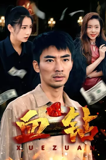 血钻短剧