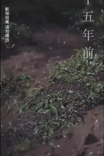 云深见朝阳