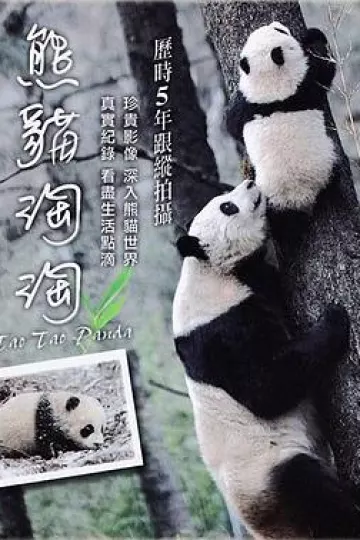 熊猫淘淘