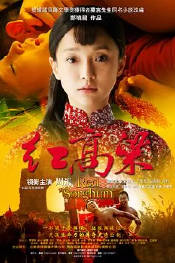 红高粱2014[电影解说]