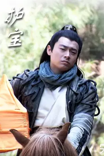 护宝2011