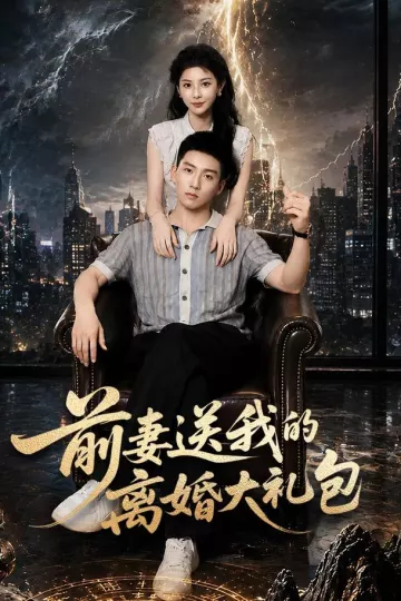 前妻送我的离婚大礼包