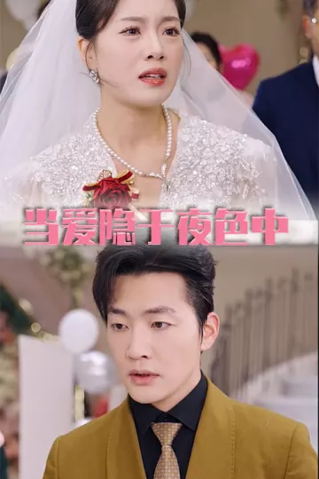 当爱隐于夜色中