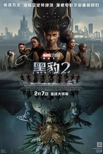 黑豹2[电影解说]