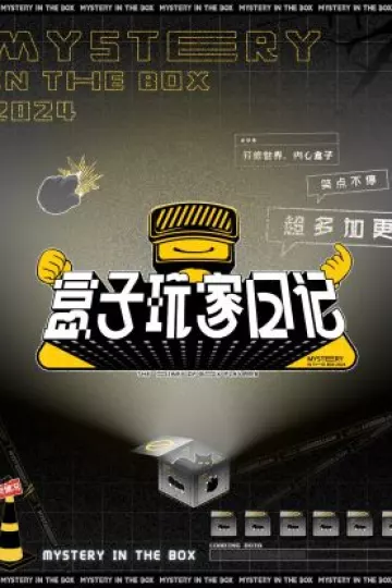 盒子玩家日记