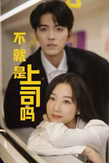 不就是上司吗