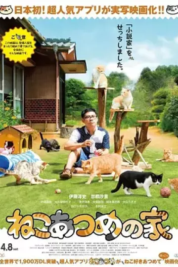 猫咪后院之家