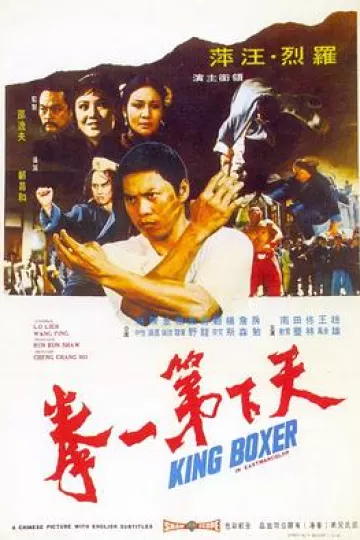 天下第一拳[电影解说]