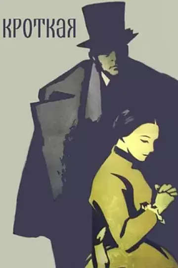 温顺的女人[电影解说]