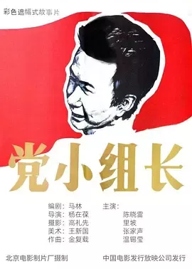 党小组长[电影解说]