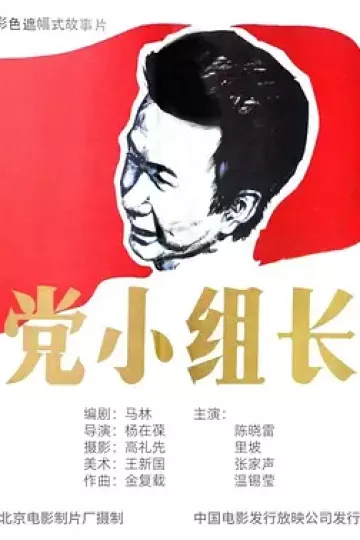 党小组长[电影解说]