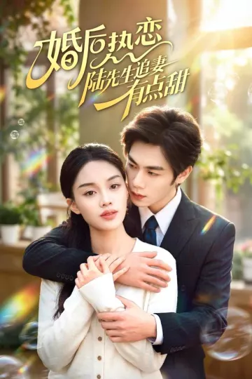 婚后热恋陆先生追妻有点甜