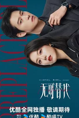 无可替代2026