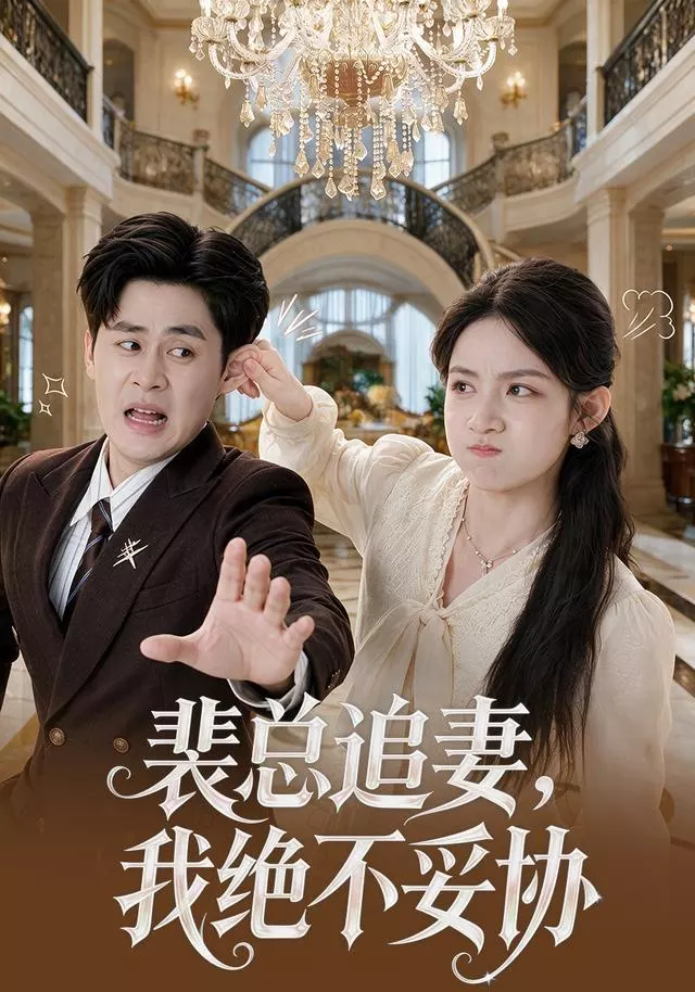 裴总追妻，我绝不妥协