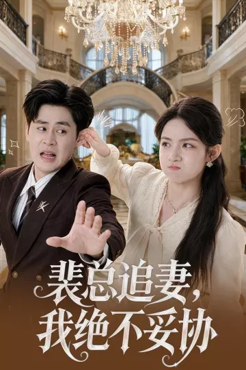裴总追妻，我绝不妥协