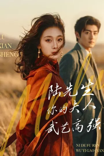 陆先生，你的夫人武艺高强