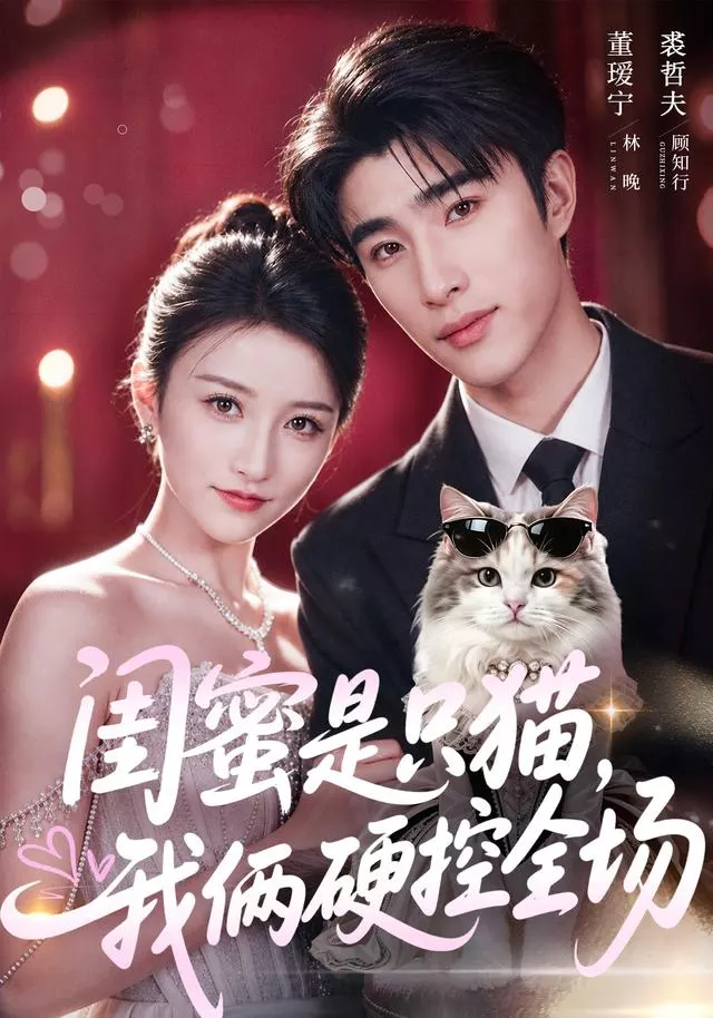 闺蜜是只猫，我俩硬控全场