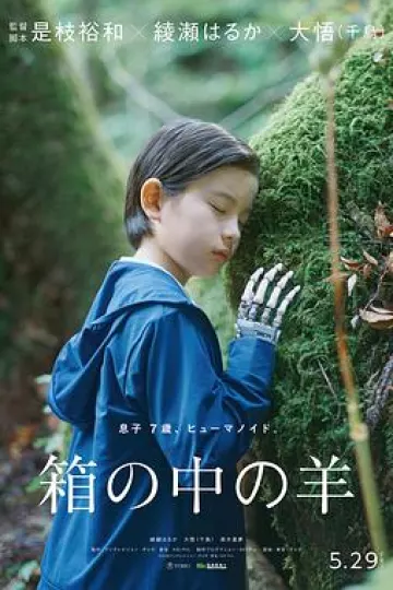 盒子里的羊