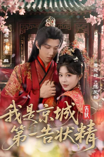 我是京城第一告状精