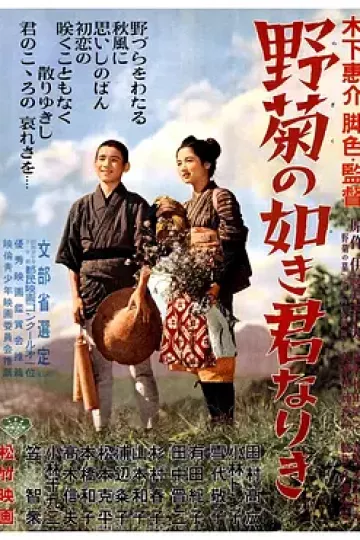 野菊之墓1955[电影解说]