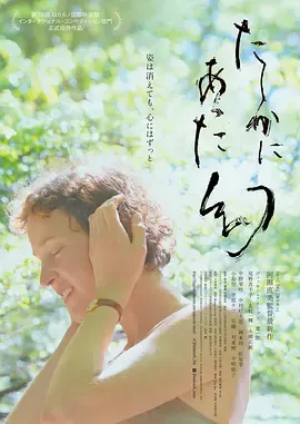 屋久岛的幻梦