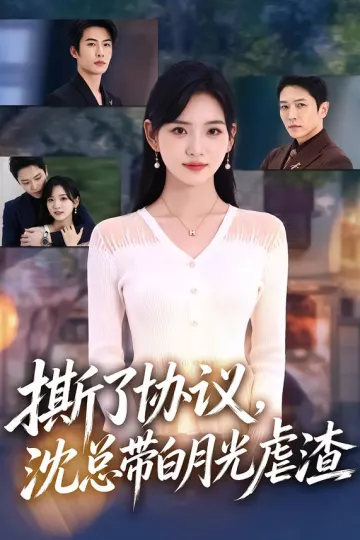 撕了协议，沈总带白月光虐渣