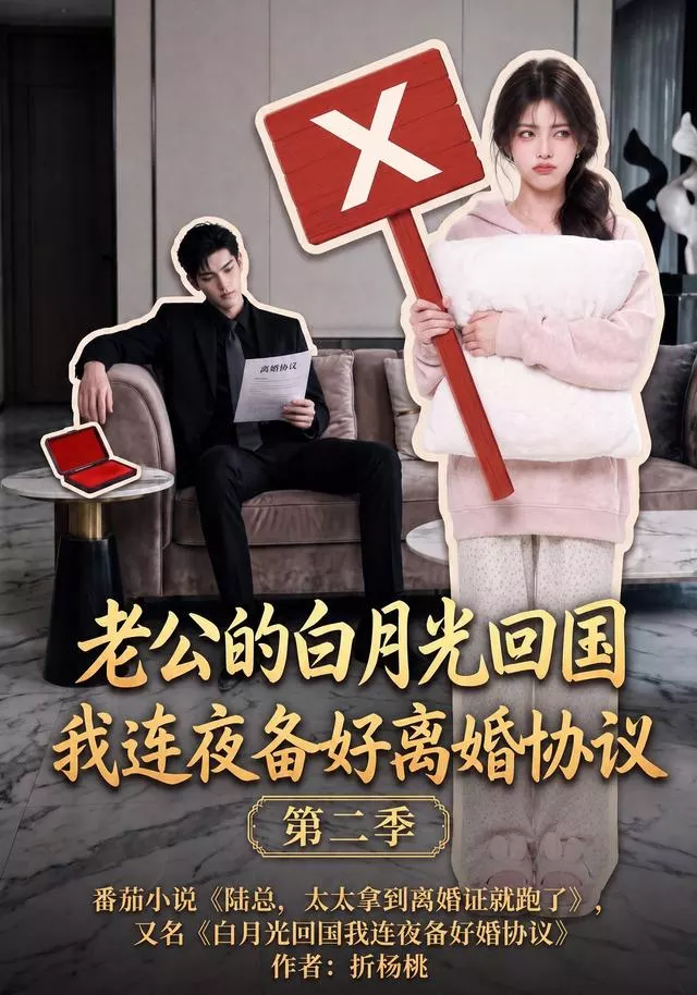 老公的白月光回国我连夜备好离婚协议第二季