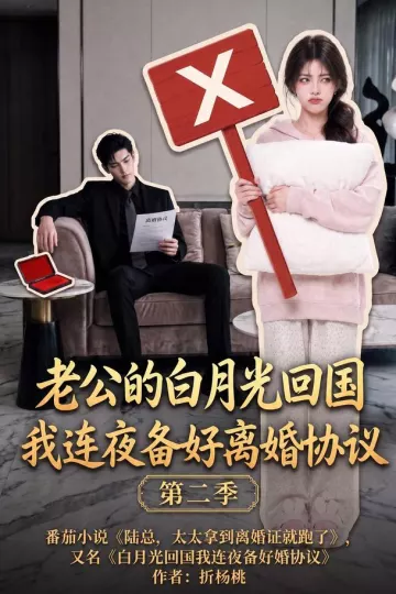 老公的白月光回国我连夜备好离婚协议第二季