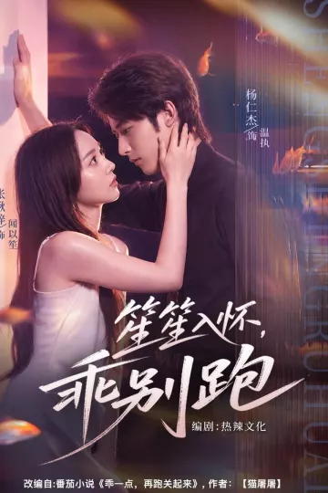 笙笙入怀，乖别跑