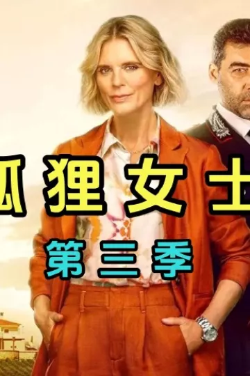 狐狸女士 第三季