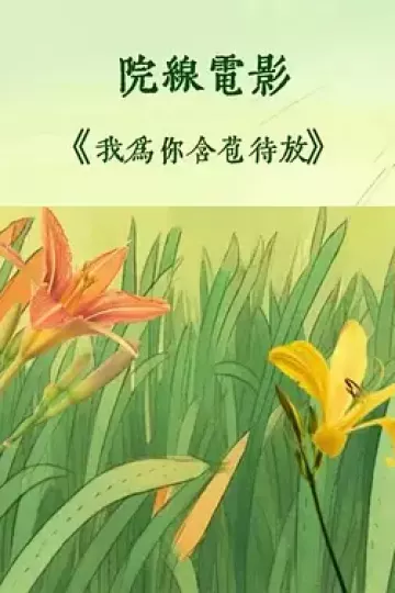 我为你含苞待放