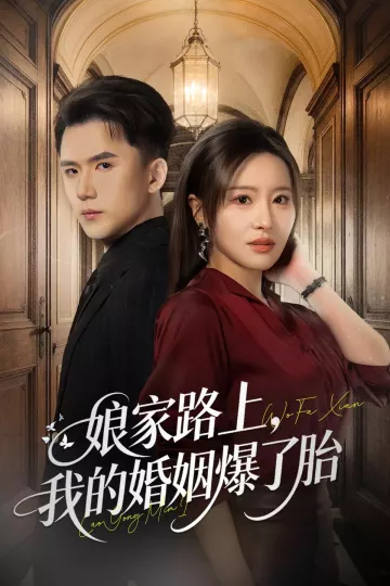 娘家路上,我的婚姻爆了胎