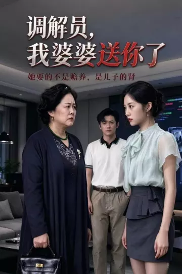 调解员,我婆婆送你了